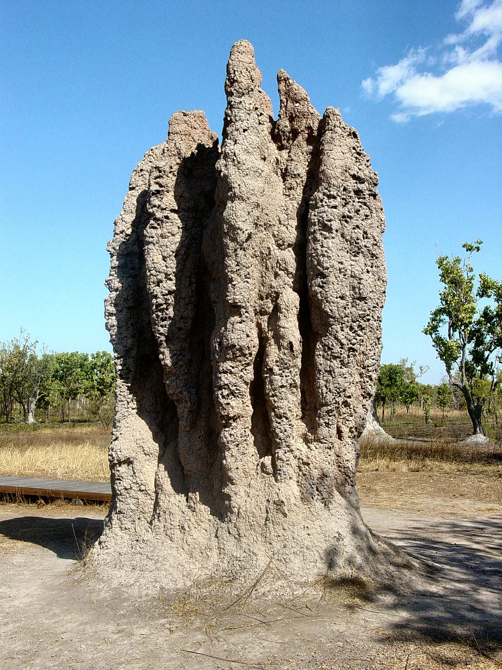 A tall cathedral termite mound rising from grassland.